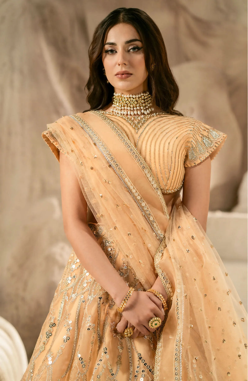 Brand Maryum and Maria - Arya Embroidered Organza Wedding Dress - MNM-228 - Tarz-e-Mashriq