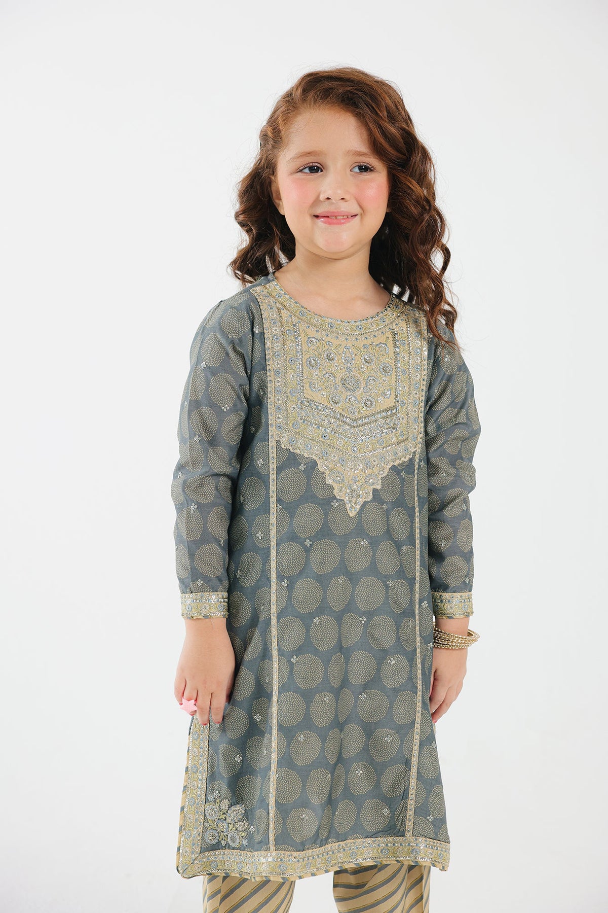 Ethnic light grey embroidered 2 PC suit – a premium choice for Pakistani suits online in Canada, crafted from fine filament fabric.